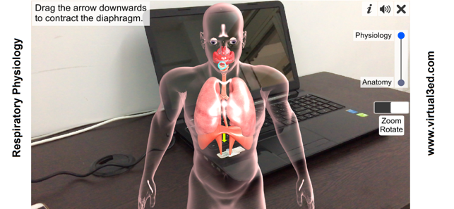 AR Respiratory system physiolo(圖4)-速報App