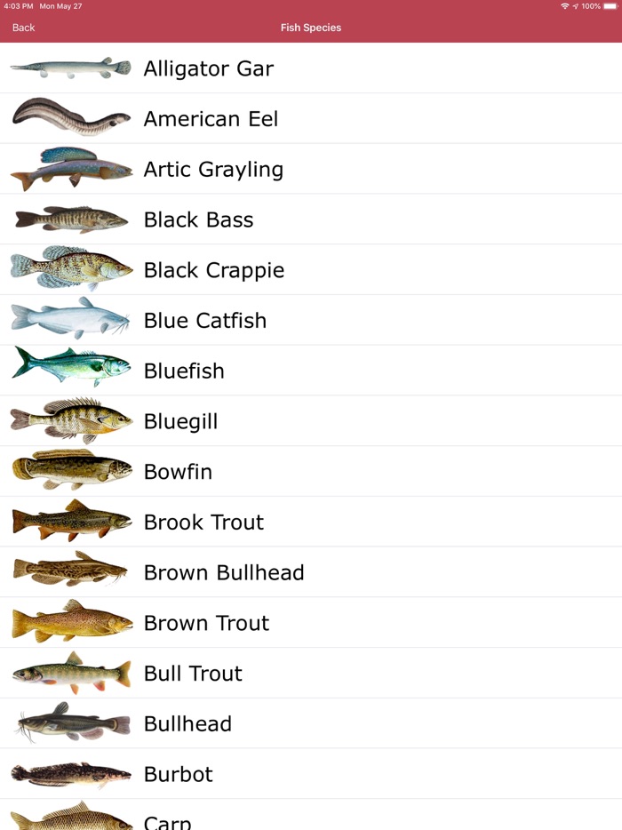 Nevada, Utah, Arizona, NM