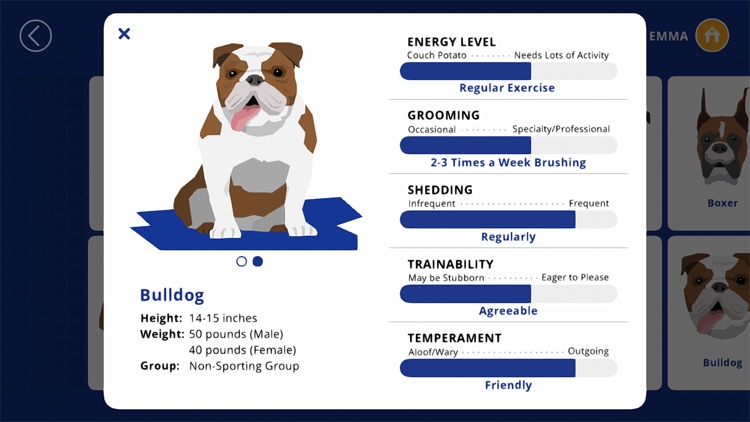 AKC Math Agility screenshot-4