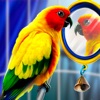 Home Pet Parrot Simulator