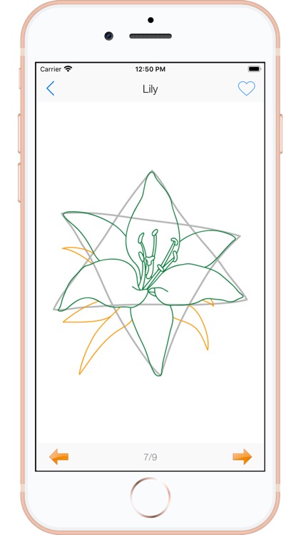 Draw Flowers - Full Version screenshot-7