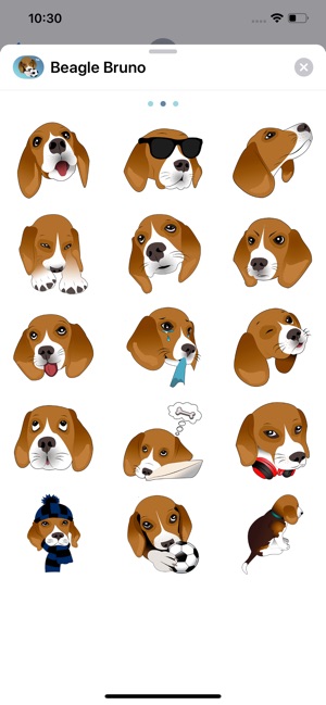 Beagle Bruno(圖2)-速報App