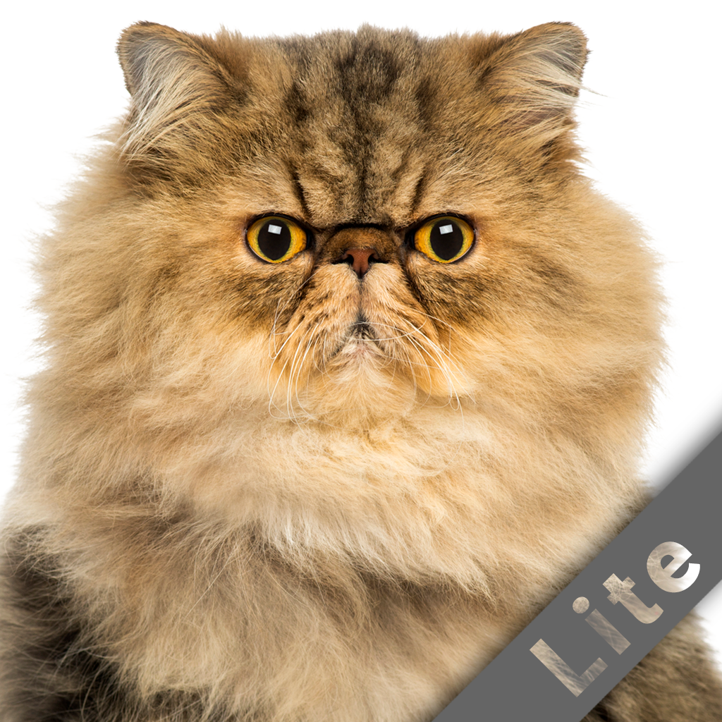 Get Go Away! -Lite for iOS, iPhone, iPad Aso Report