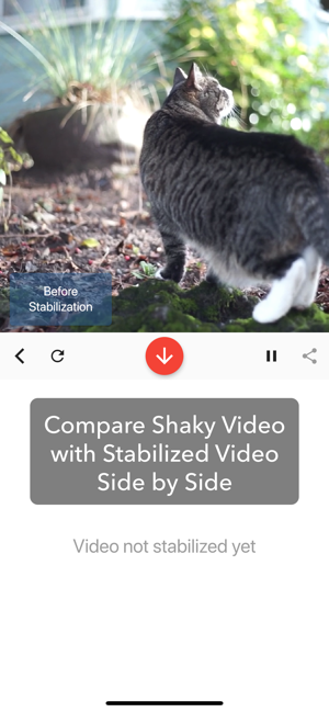 Deshake Video - Stabilization(圖2)-速報App