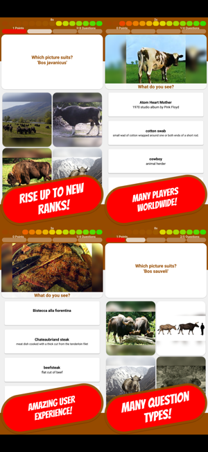 COW & BOVINE Quiz(圖2)-速報App