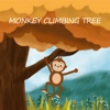 Monkey Climbing Tree