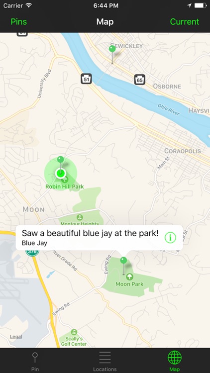 Observing birds screenshot-4