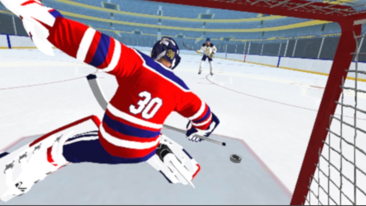 Hockey Games 3D