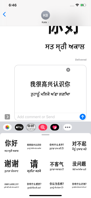 Punjabi Chinese(圖3)-速報App