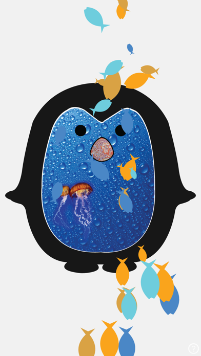 Classical Music Shapes Colors 1.1.0 IOS -