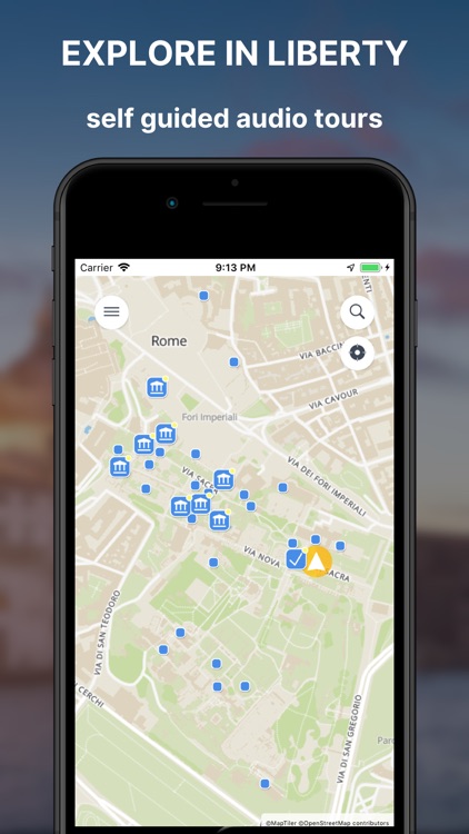 Roman forum & Palatine Guide screenshot-3