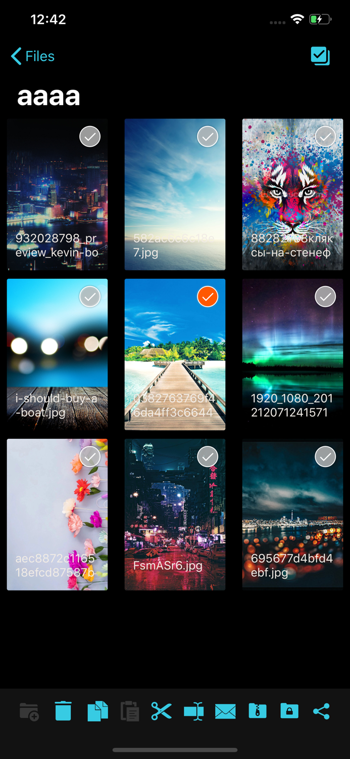 SMB Explorer - For Shares,NAS