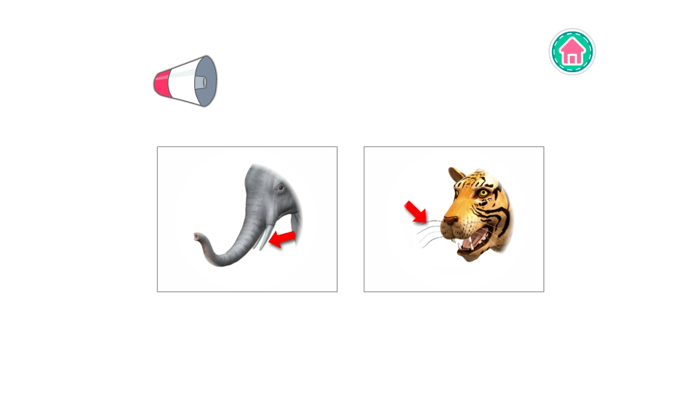 PicDic - Animals Eng-Chinese