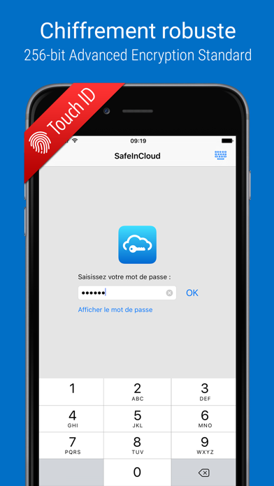 Screenshot SafeInCloud Pro