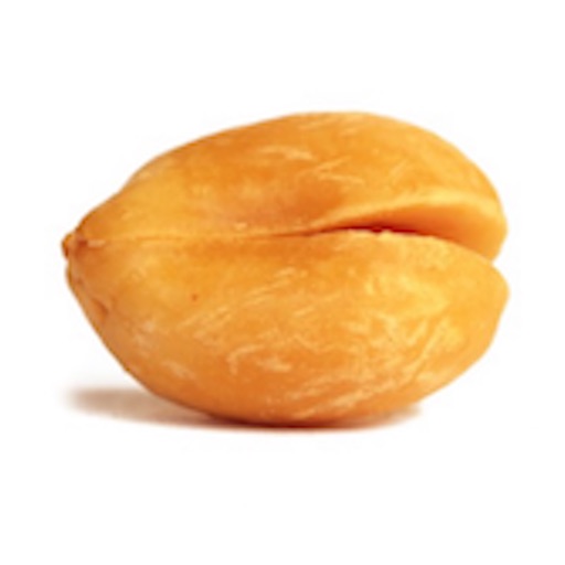 Complimentary Nuts Icon