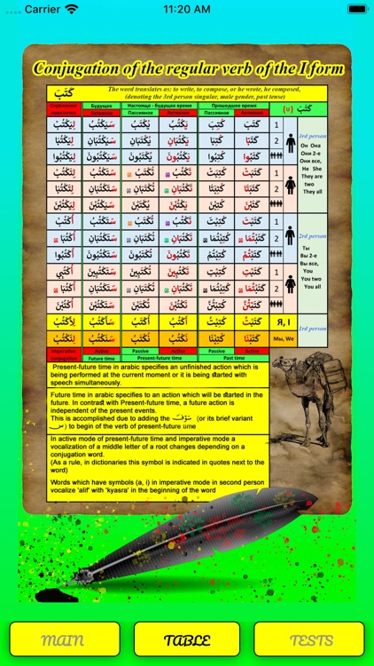 Arabic verbs - tests