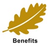 Goldleaf Partners Benefits