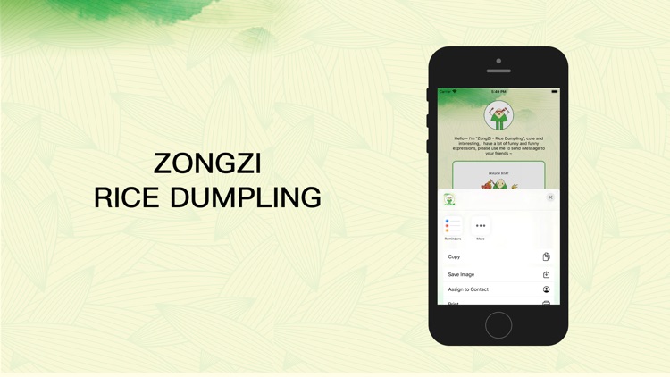 ZongZi - Rice Dumpling