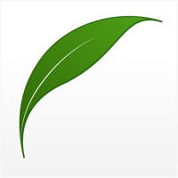 致茶·萎凋 pour PC