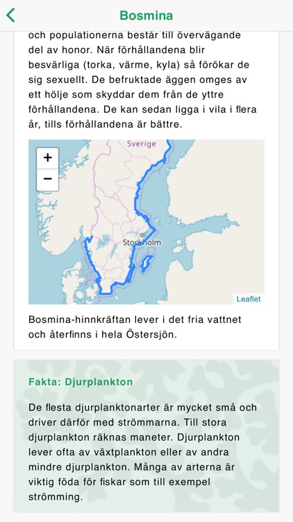 Livet i Havet screenshot-6