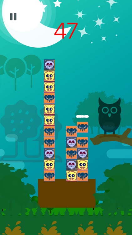 Forest Segma - Animal Blocks screenshot-3