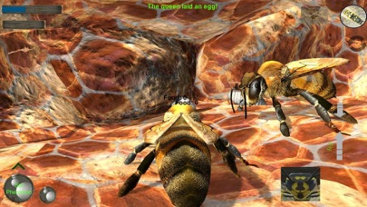 Bee Nest Simulator Full screenshot 1