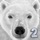 Polar Bear Simulator 2
