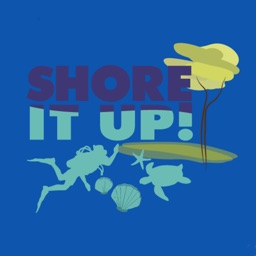 Shore It Up