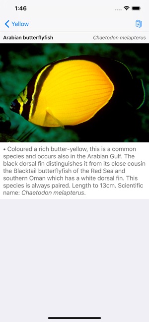 Oman Fish ID(圖4)-速報App