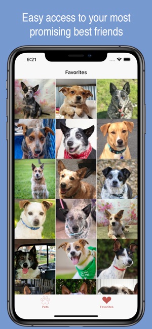 Pet Search - Adopt a Pet(圖3)-速報App