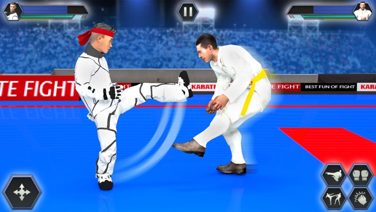 Real Karate Fight Punch 2020 screenshot-3