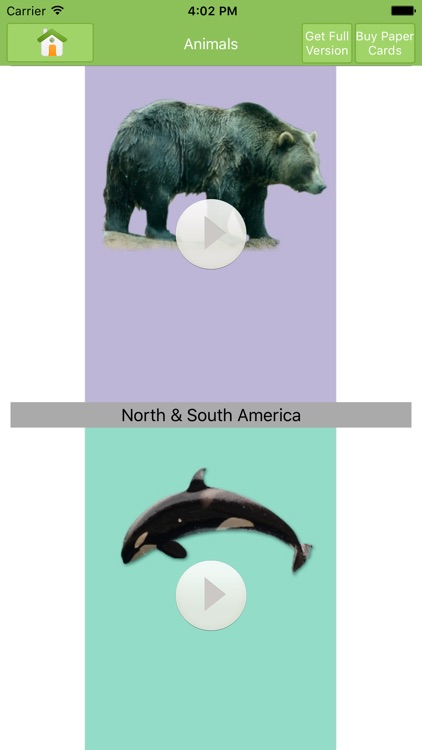 KnowleKids Flashcards