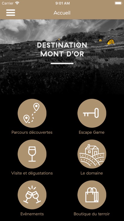 Mont d'Or