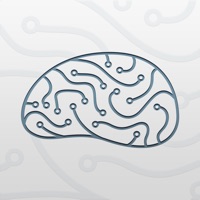 Brainquire pour PC
