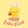 Cute Easter Chick & Egg