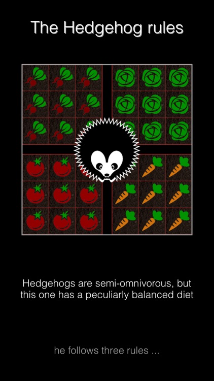 Hedgehog Gardens - Logic Games