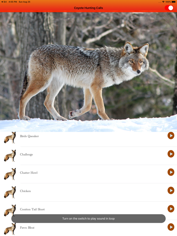 Coyote Hunting Calls Full Apps 148Apps
