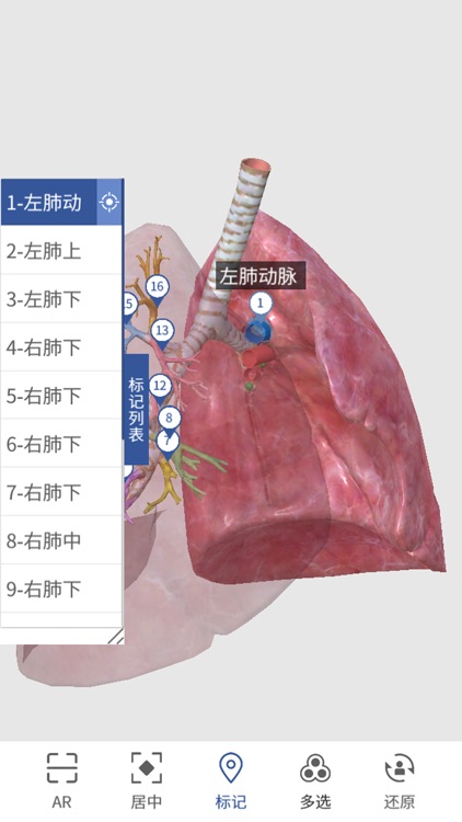 人卫3D人体解剖图谱 screenshot-4