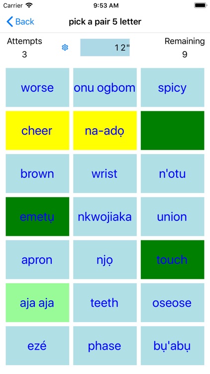 PickAPair Igbo - English