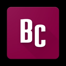 Brooklyn College  BLMI