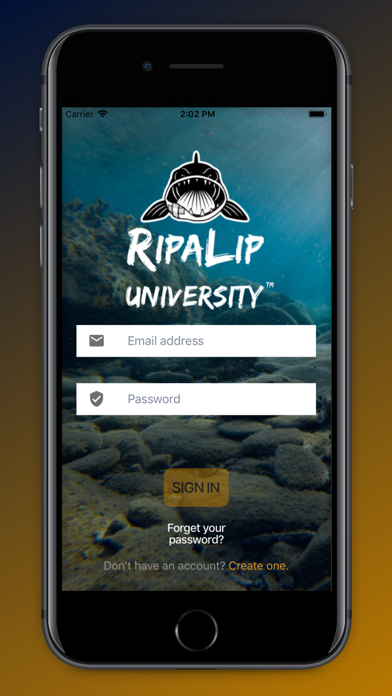 RipaLip University screenshot 2