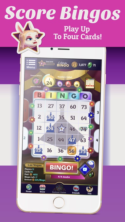 Bingo Offline Celebrity Bingo