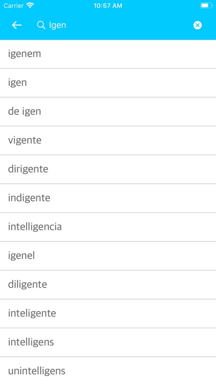 HungarianPortuguese Dictionary screenshot-4