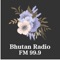 Bhutan Radio FM 99