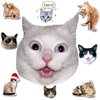 Cat Stickers For Chat pour PC