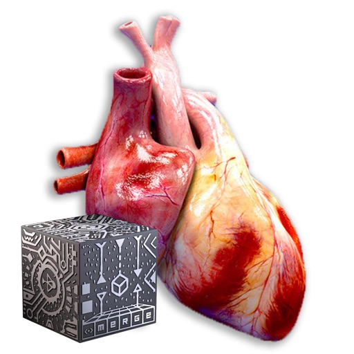 AR Medical