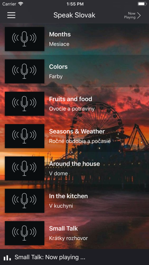 Fast - Speak Slovak(圖6)-速報App