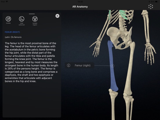 AR Anatomy: Skeletonのおすすめ画像4