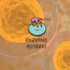 Enzymes Quizzes