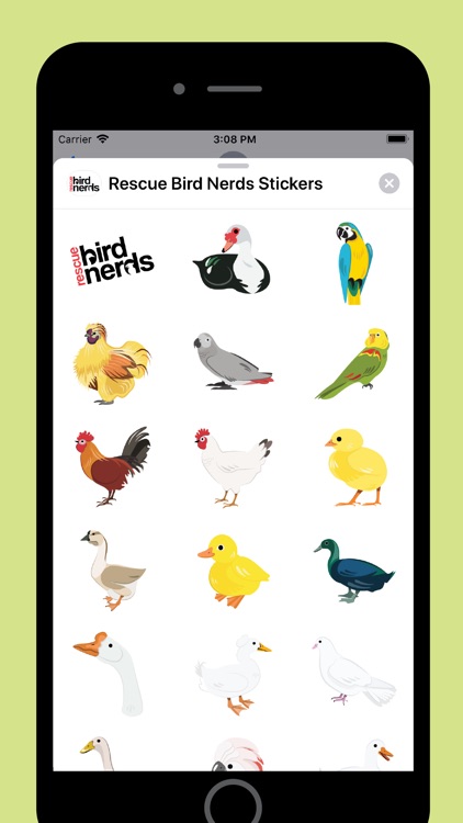 Rescue Bird Nerds
